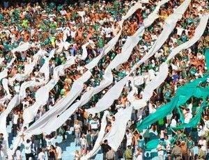 torcida goias