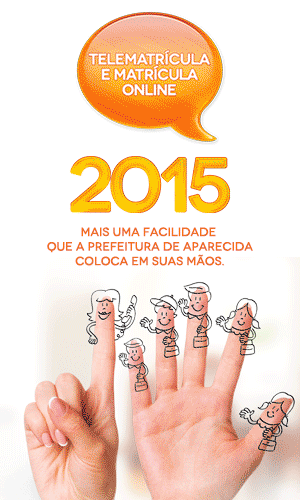 Banner Prefeitura 300x500px 2