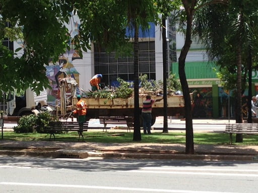 COMURG RETIRA ARVORES