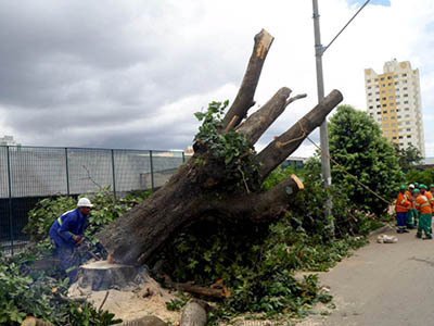manguba est&aacute;dio ol&iacute;mpico