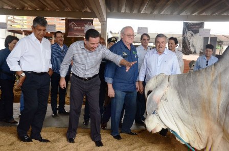 marconi pecu&aacute;ria