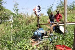 Ribeir&atilde;o Bonsucesso