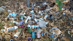 descarte de medicamentos interlandia