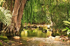 concurso belezas naturais
