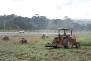 rocagem foto prefeitura de goiania