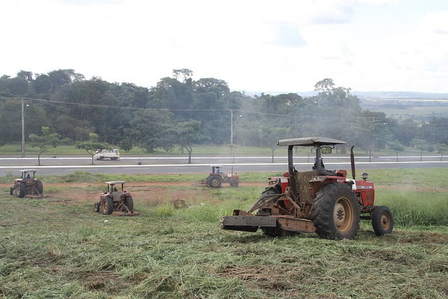 rocagem foto prefeitura de goiania