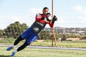 wendell goleiro