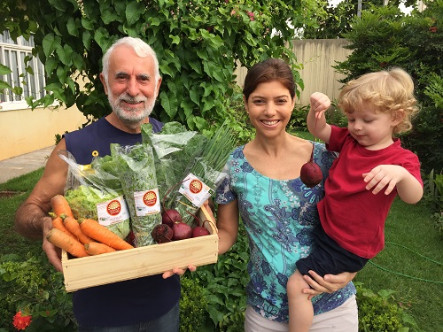 consumidores organicos