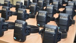 tornozeleira eletronica foto governo de goias