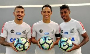 trio do peixe