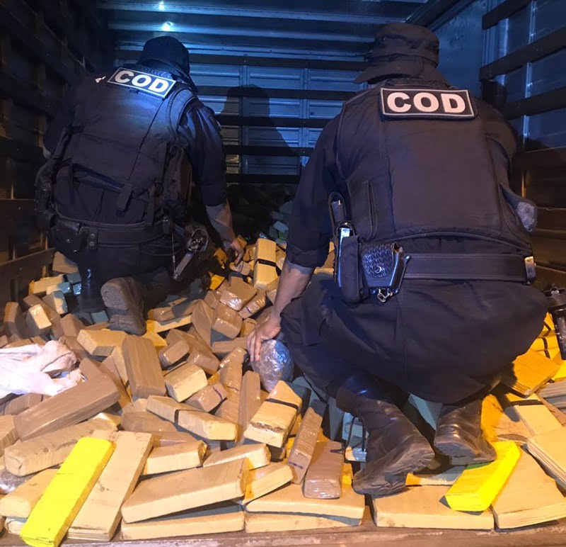 droga apreendida em perolandia