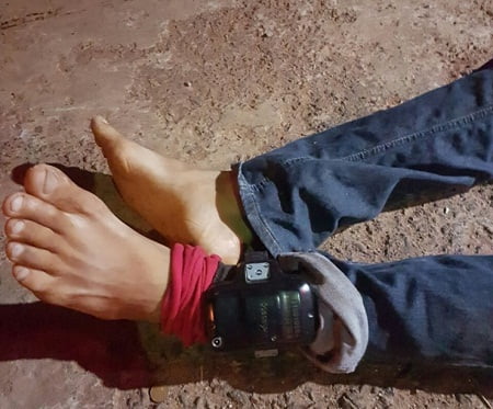 preso morto em goianira