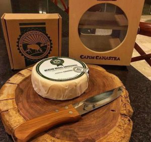 queijo premiado