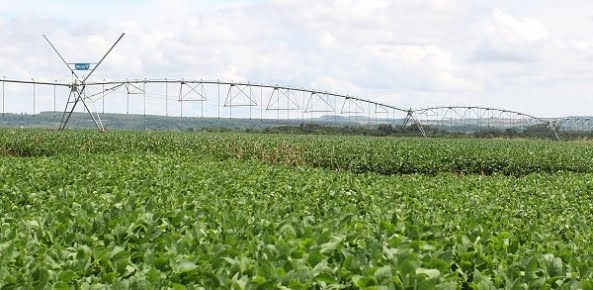 agropecuaria foto cna