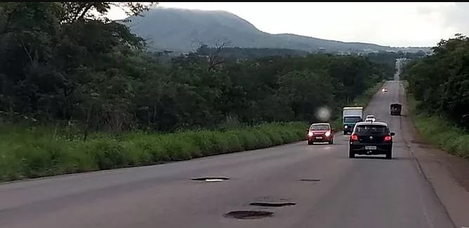 br 153 sem manutencao reproducao folha de jaragua