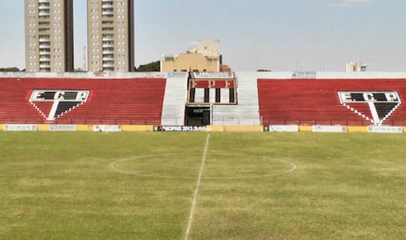 Mastim tibetano com pelo marrom ao ar livre