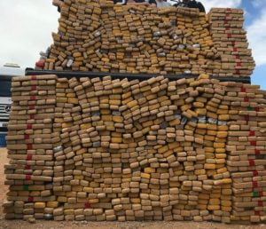 duas toneladas de maconha foto pmgo.jpg