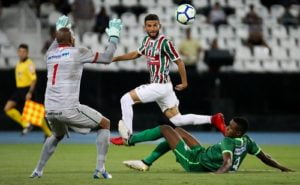 fluminense salgueiro