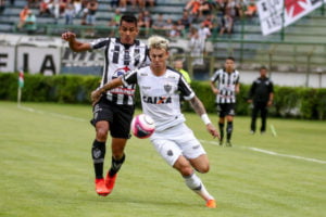 galo tupi