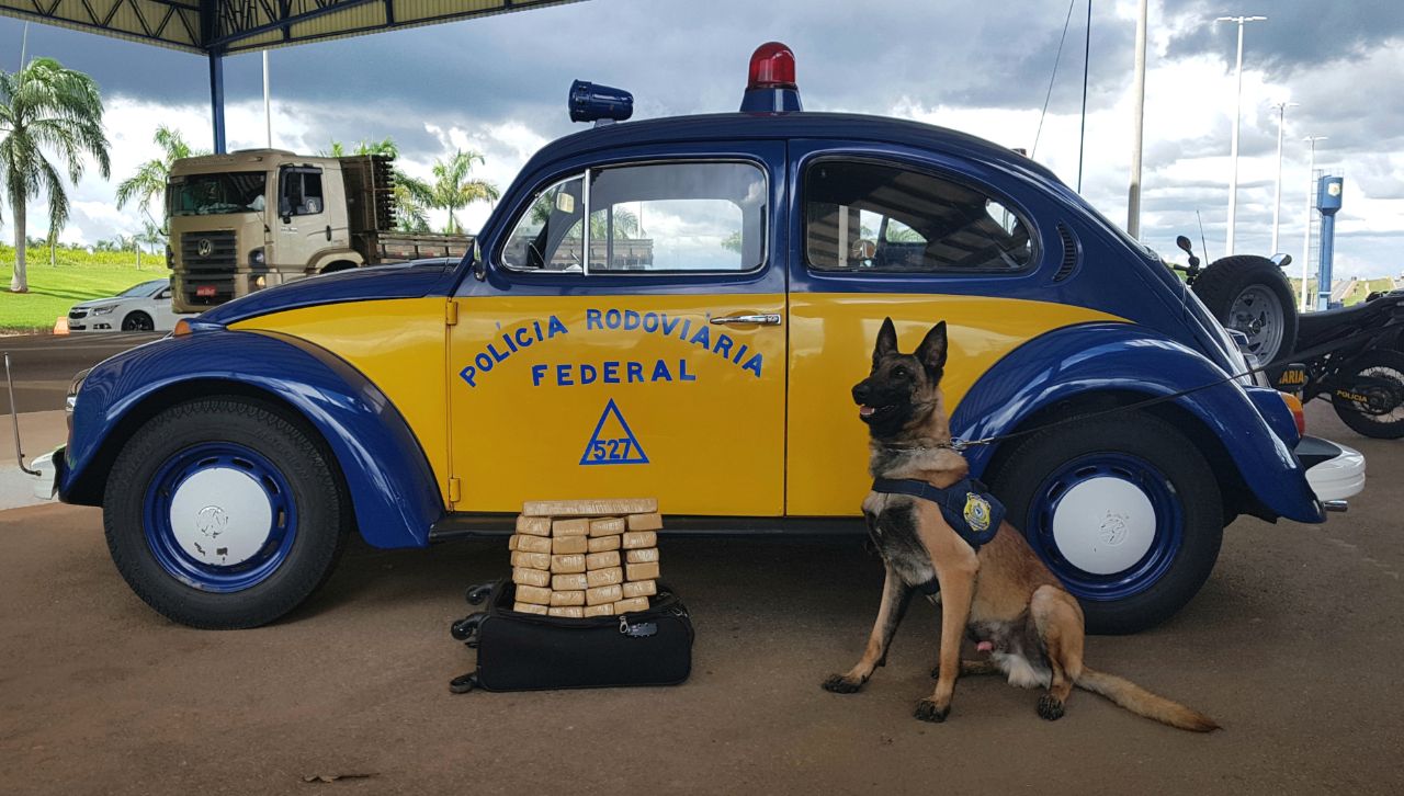 FOTO PRF MENOR APREENDIDO.jpeg