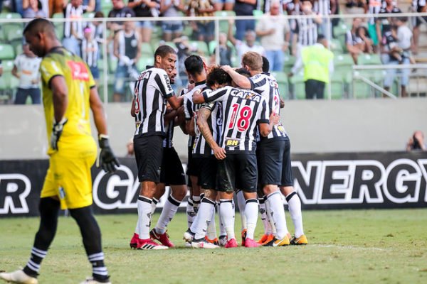galo classificado
