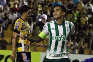 palmeiras novorizontino