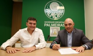 palmeiras puma