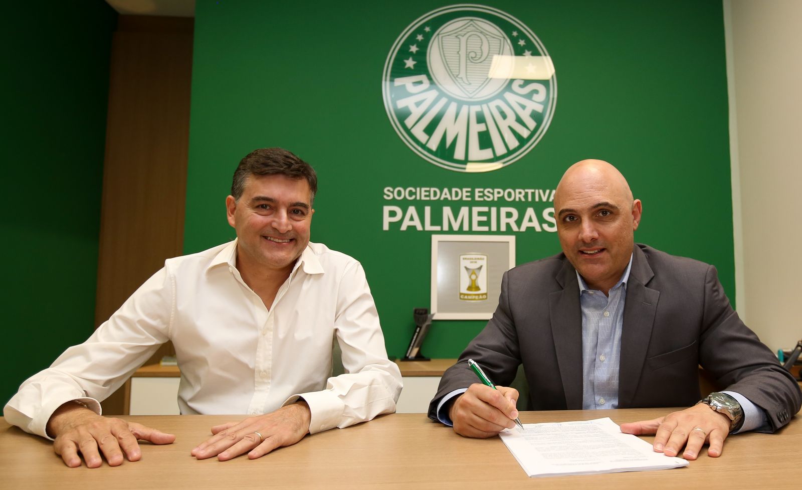 palmeiras puma