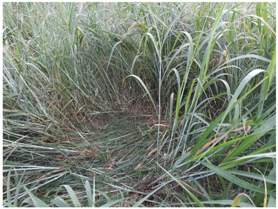 WhatsApp Image 2018-03-09 at 14.32.47.jpeg