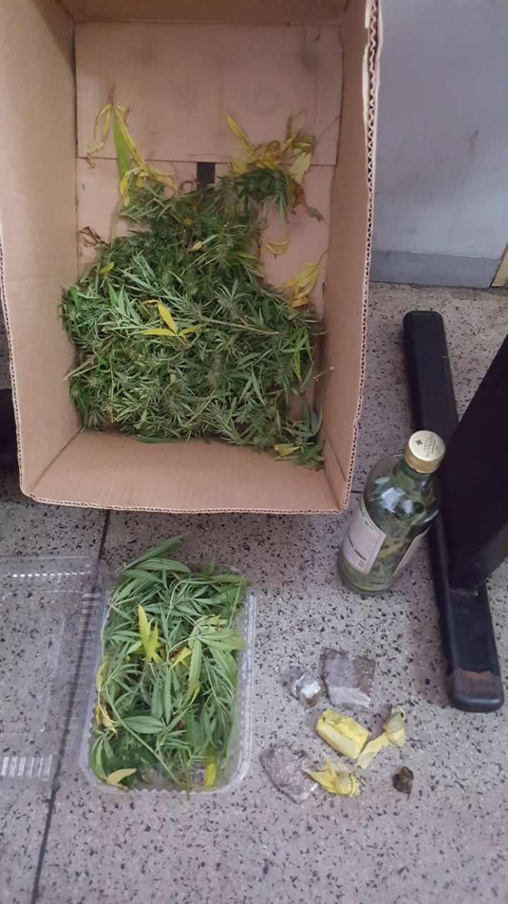 WhatsApp Image 2018-03-13 at 14.56.08.jpeg