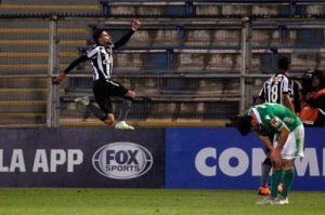 botafogo x audax