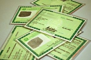 servicos pc div governo de goias