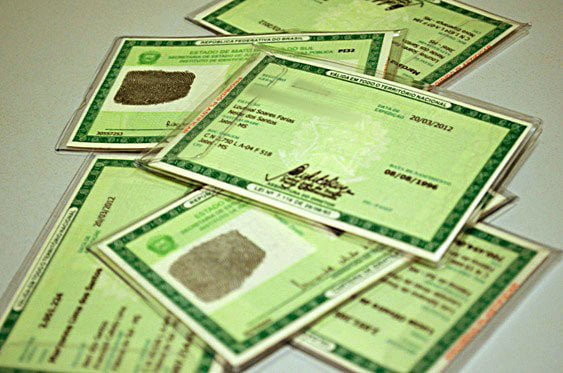 servicos pc div governo de goias