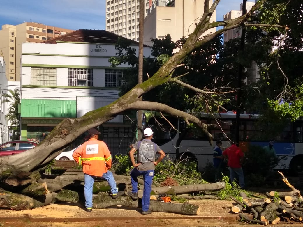 WhatsApp Image 2018-04-13 at 08.42.57.jpeg