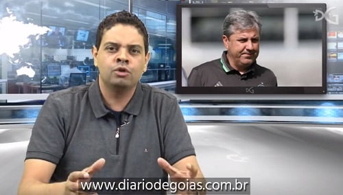 Gato cinza e branco olhando para o lado em frente a uma tigela com comida