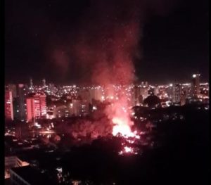 bosque dos buritis reproducao whats.jpg