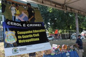 campanha pipa sem cerol 2018 foto prefeitura de goiania.JPG