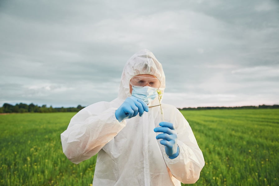 Imagem - Projeto de lei que muda as regras do agrotóxico é aprovado.jpg