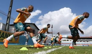 palmeiras treino