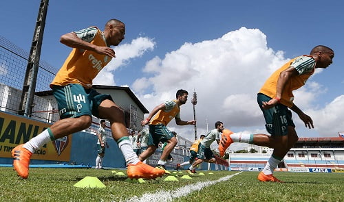 palmeiras treino