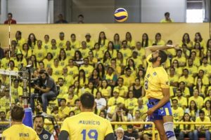 volei brasil