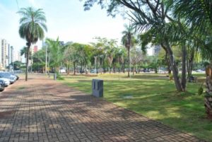 praca tamandare foto gyn br.jpg