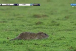 rato jogo vasco rep.jpg