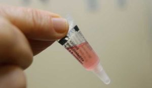 vacina polio rep.jpg