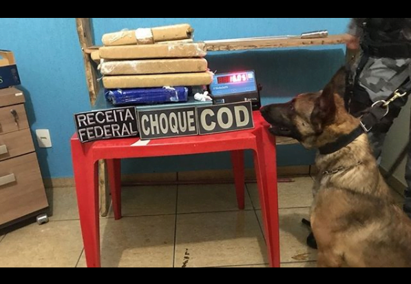 apreensao droga cachoeira alta div pm.png