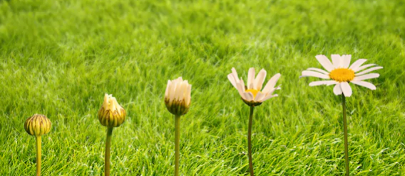 Captura de Tela 2018-09-06 às 15.11.42.png
