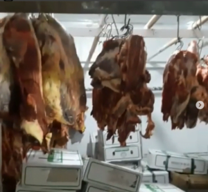 carne apreendida vila lucy rep.png