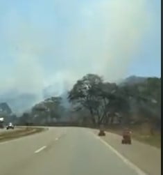 parque ecologico.jpg