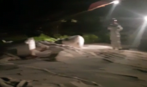 Captura de Tela 2018-11-12 às 10.14.05.png