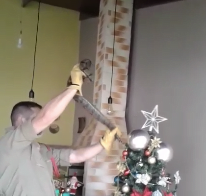 Captura de Tela 2018-11-20 às 10.07.00.png